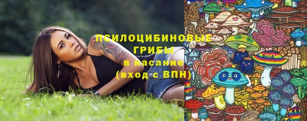 PSILOCYBIN Богданович